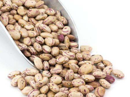 Cranberry Beans, Organic Online now