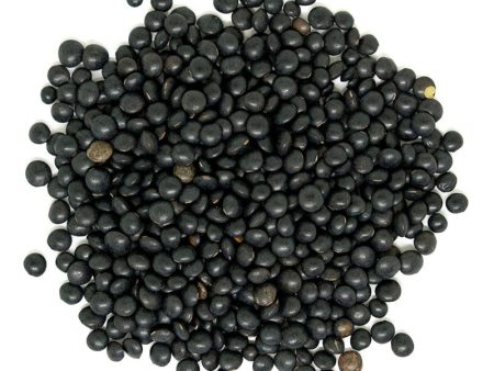 Beluga Black Lentils, Organic Online