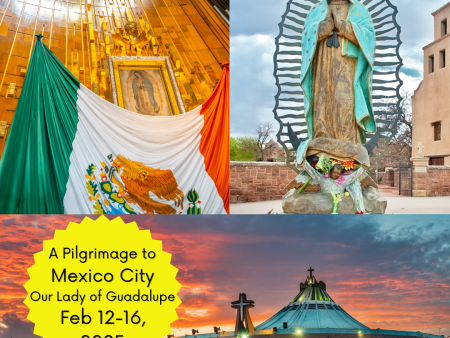 Mexico City - Our Lady of Guadalupe Pilgrimage -  February 12 -February 16, 2025 with Immaculee Ilibagiza Online now